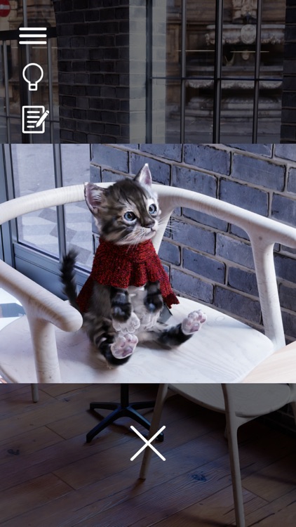 Escape Game: Cat and Cafe