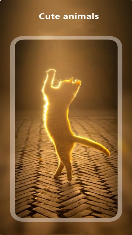 Dream Walls-4K HD wallpapers screenshot-5