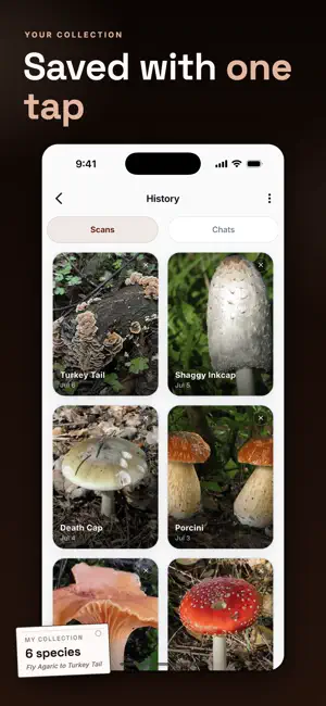 Scan: Mushroom Identifier screenshot 3