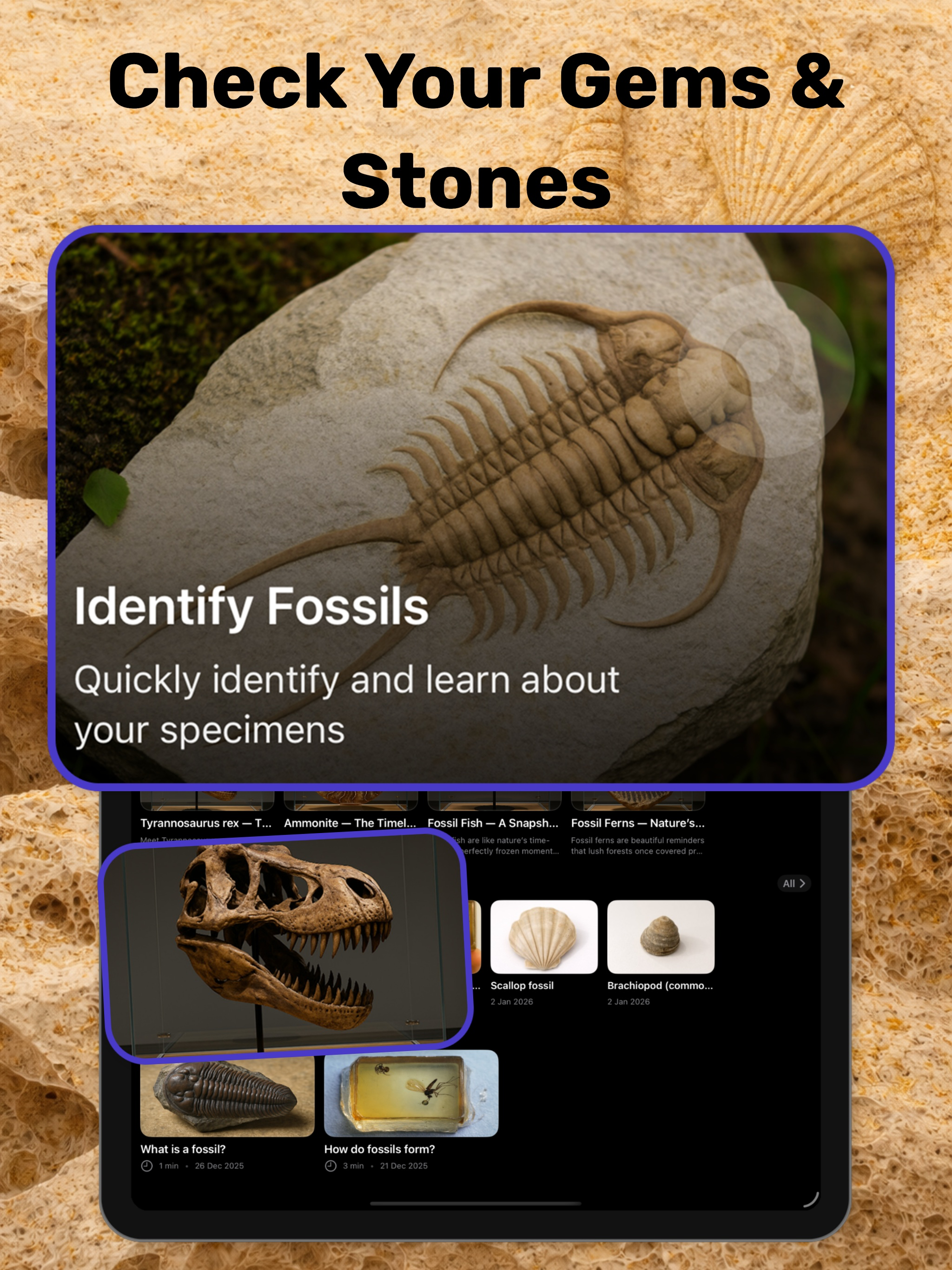 Fossil Identifier & Rock ID