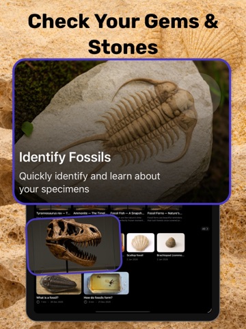 Fossil Identifier & Rock ID iPad screenshot