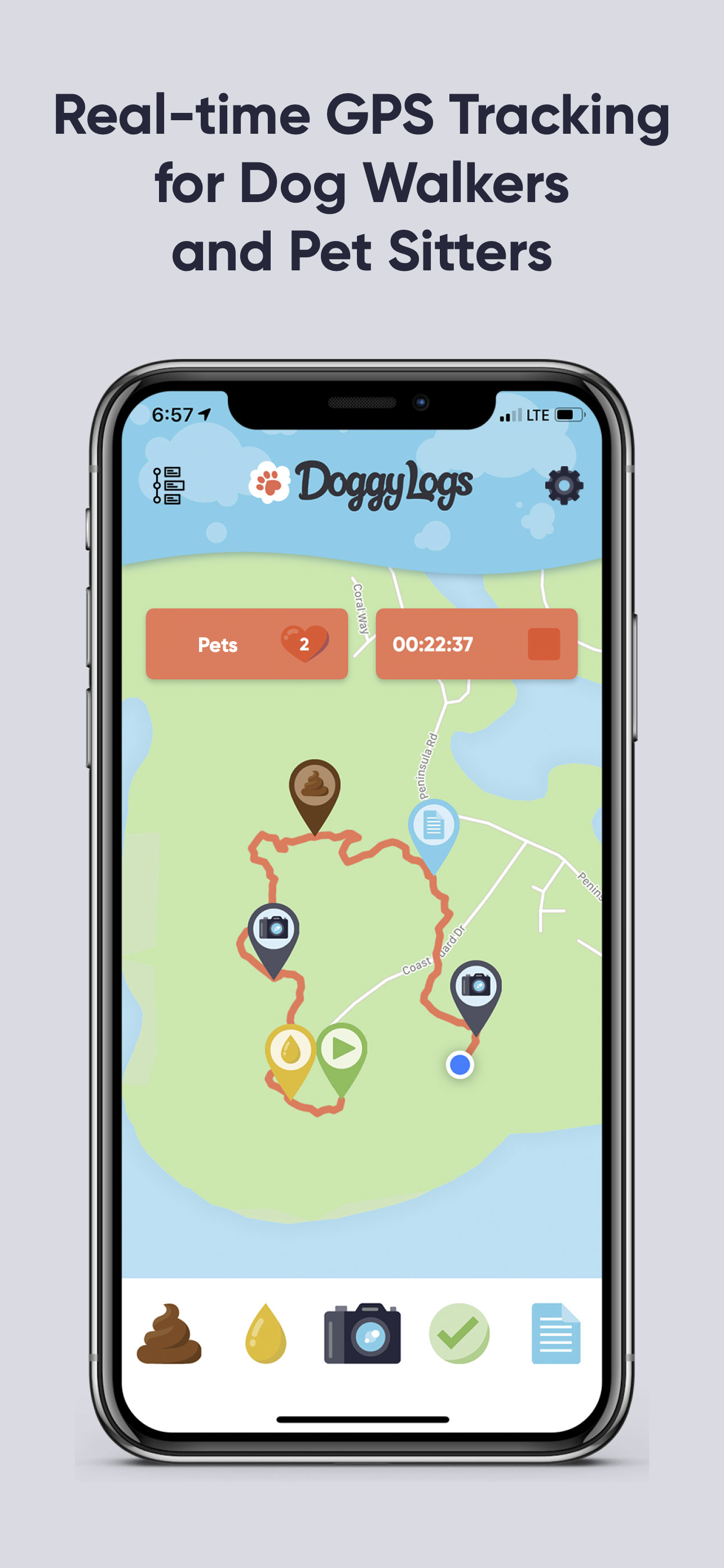 Doggy Logs