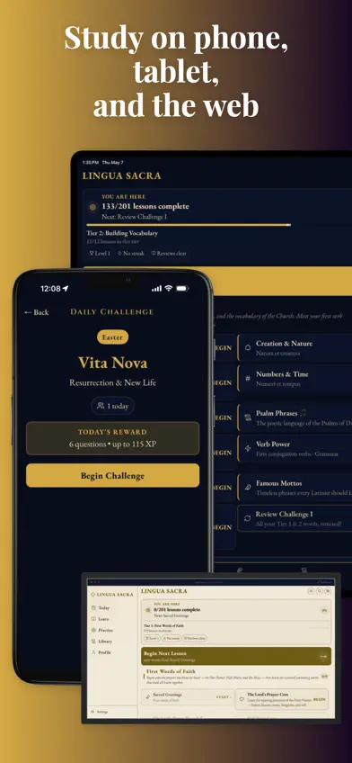 Lingua Sacra screenshot 4