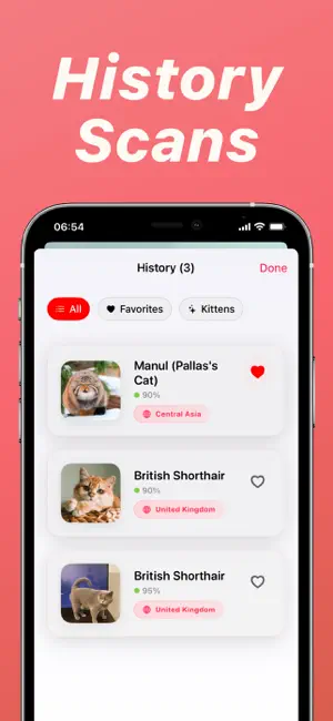 Cat Breed Identifier: Kityko screenshot 4
