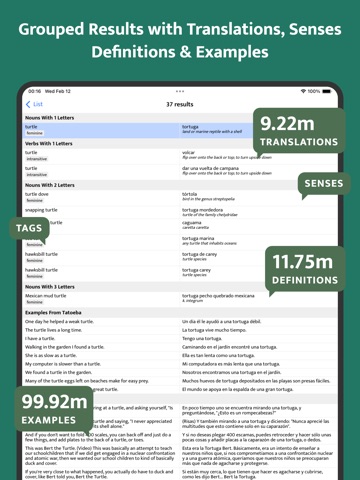 OpenDict - Offline Dictionary iPad screenshot
