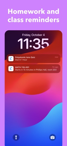 Coursicle screenshot