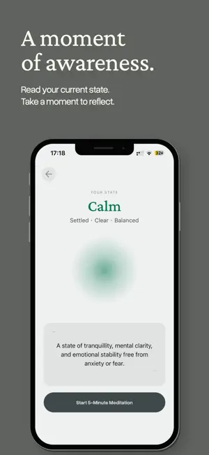 Do Merit screenshot 4