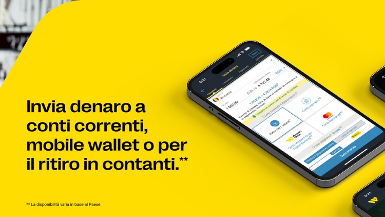 Western Union Money Transfer