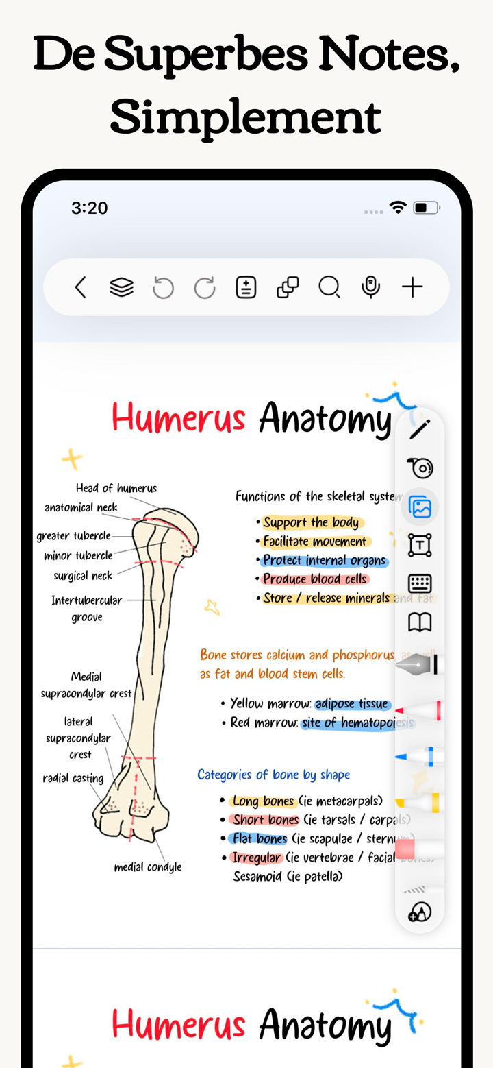 Freenotes®: AI, Notes, PDF screenshot 1