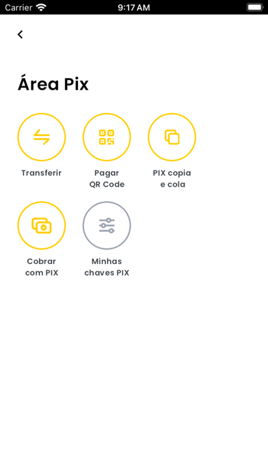 SOUL seu Bank Screenshot