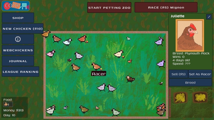 Mignon: Chicken Racing League