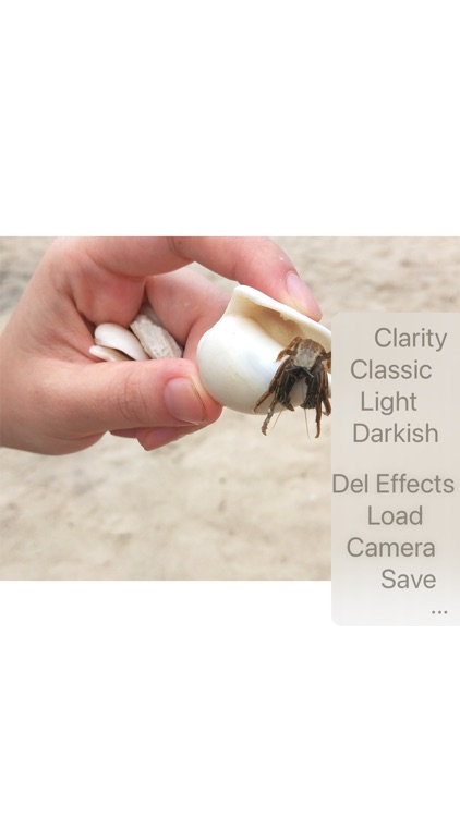 AutoFilter
