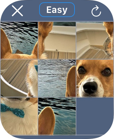 Dog Face Puzzles