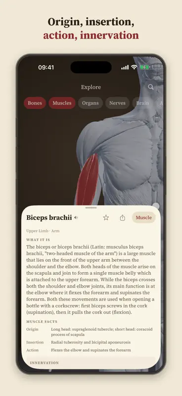 Anatomy Recall: 3D Human Body screenshot 4 of 6