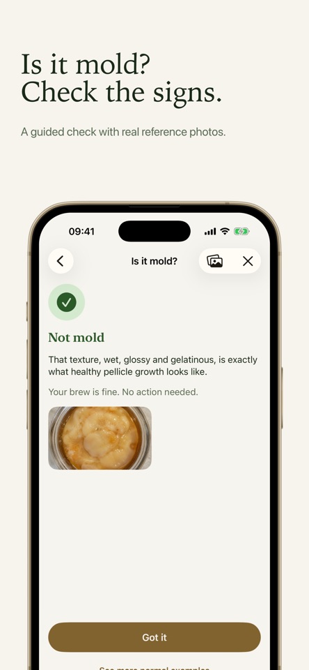 Fermenta: Kombucha Tracker screenshot 4