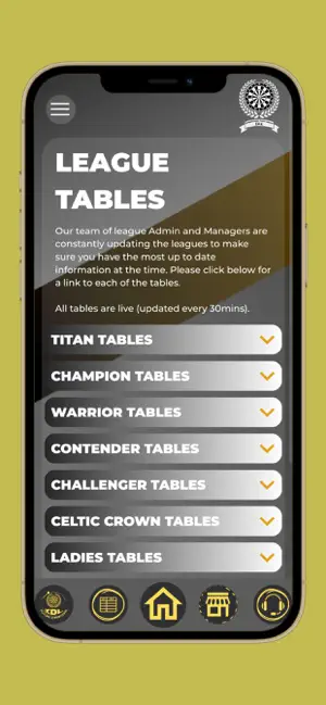 International Darts League screenshot 3