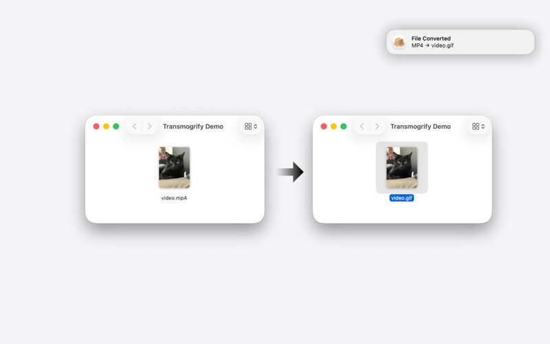 Transmogrify for Files screenshot