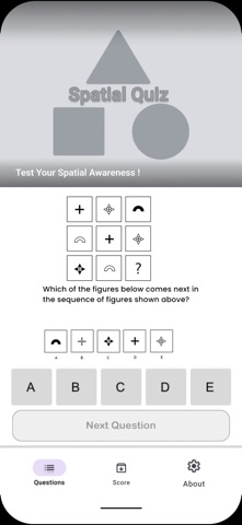 Spatial Quiz iPhone screenshot