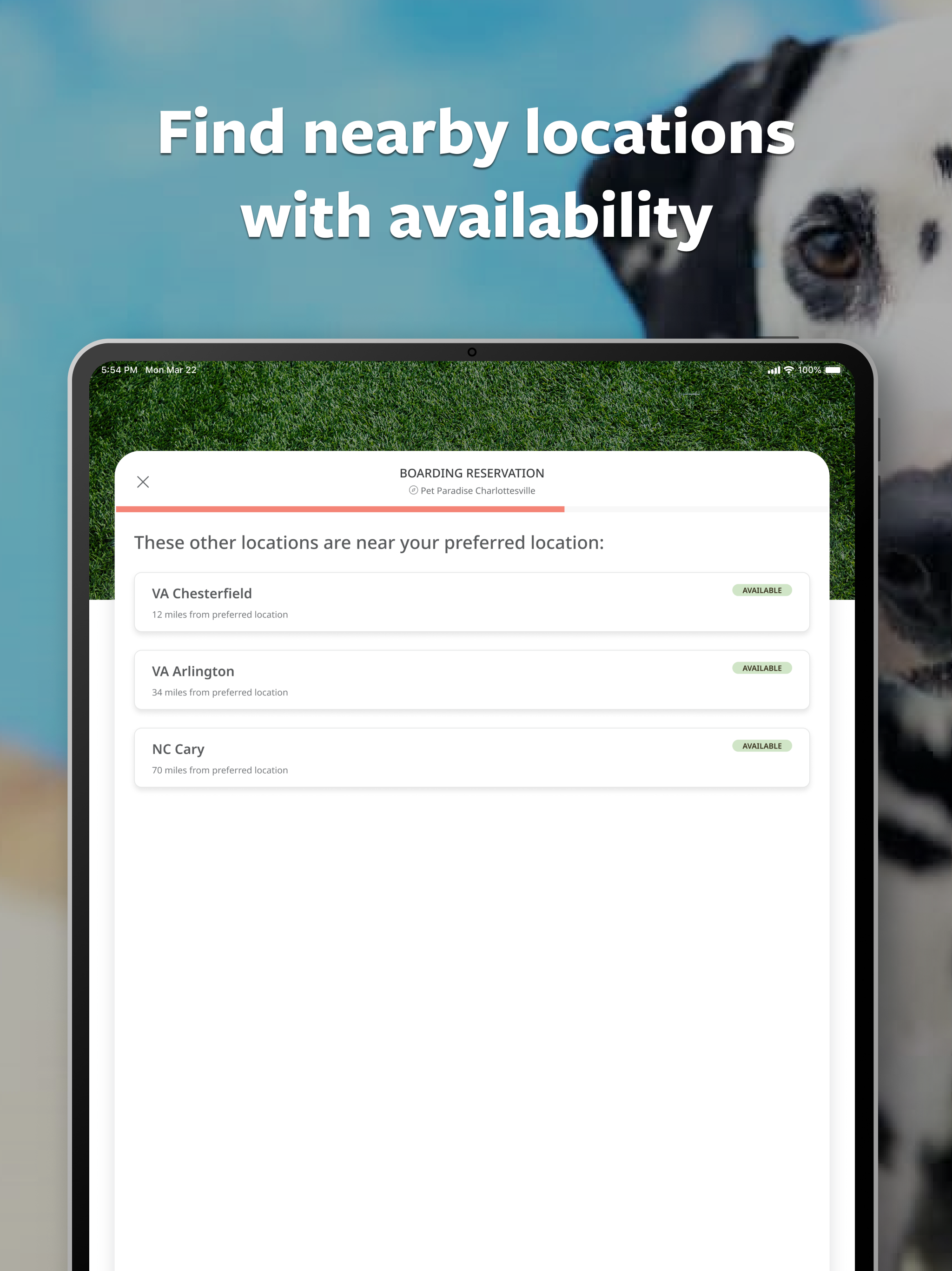 Pet Paradise