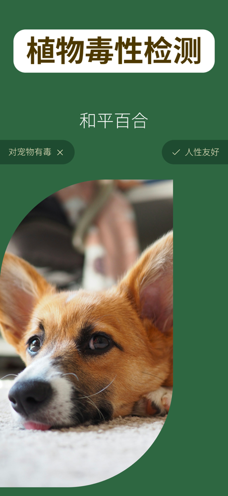 植物识别, 识别植物软件 - 识花, 拍照识别植物 screenshot 6