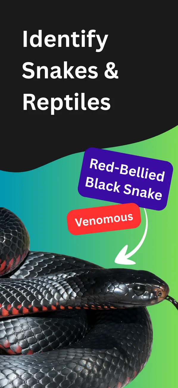 #1. Snake Identifier: Scanner (iOS) Ved: Ivan Trajanovski