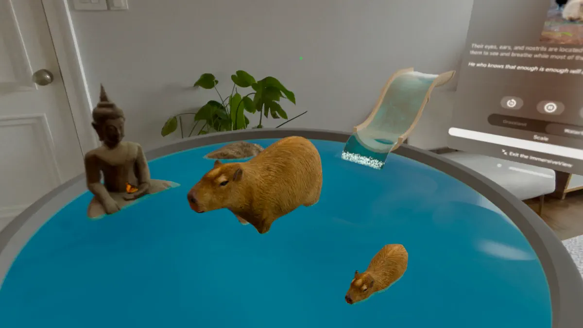 Capybara Retreat Echoes of Zen screenshot 5