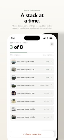 coalesco screenshot