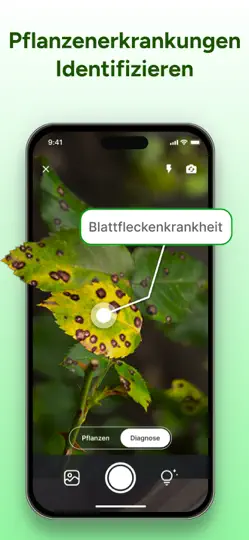 Screenshot von PlantCheck: Pflanzen Erkennen auf dem iPhone 3