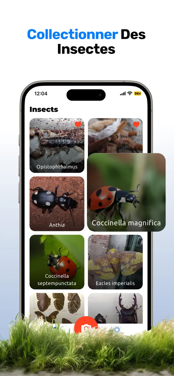 Screenshot #3 pour Identifier insectes: Bug ID