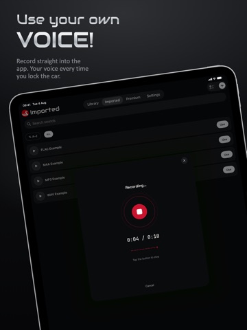 Lock Tess iPad screenshot