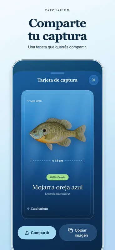 Catcharium : pêche et poissons screenshot 6 of 6