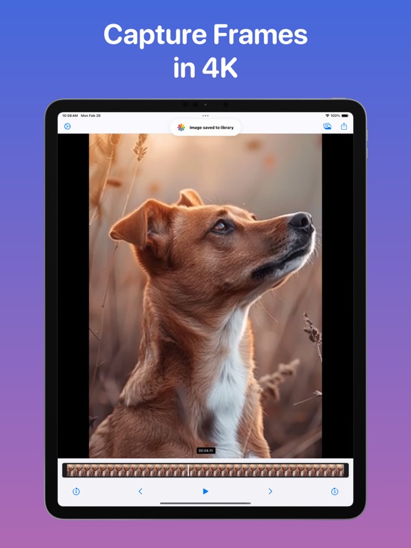 Grab HD Video Frames - VidGrab iPad screenshot 2 - Photo & Video app