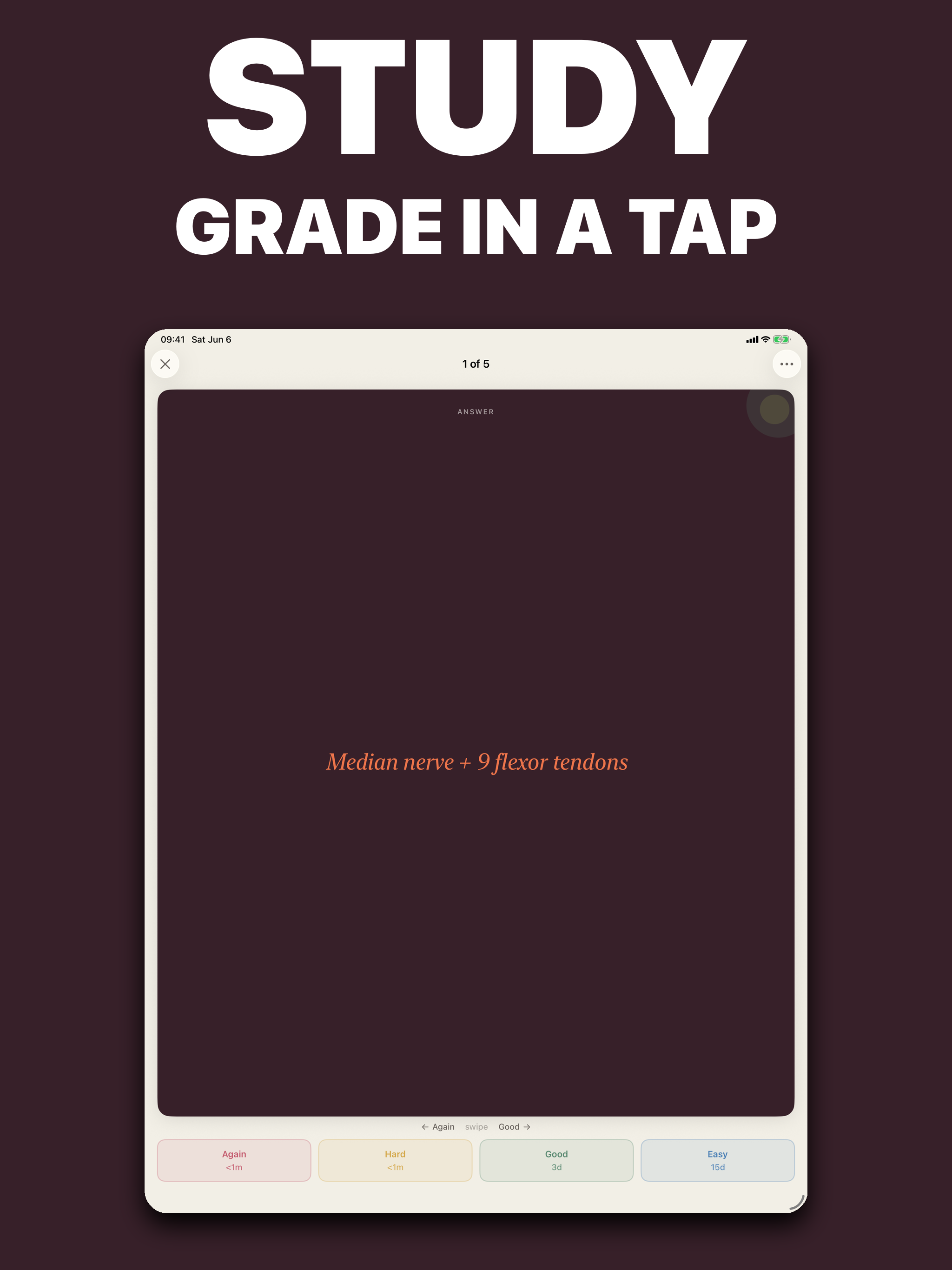 Pith: Study Flashcards