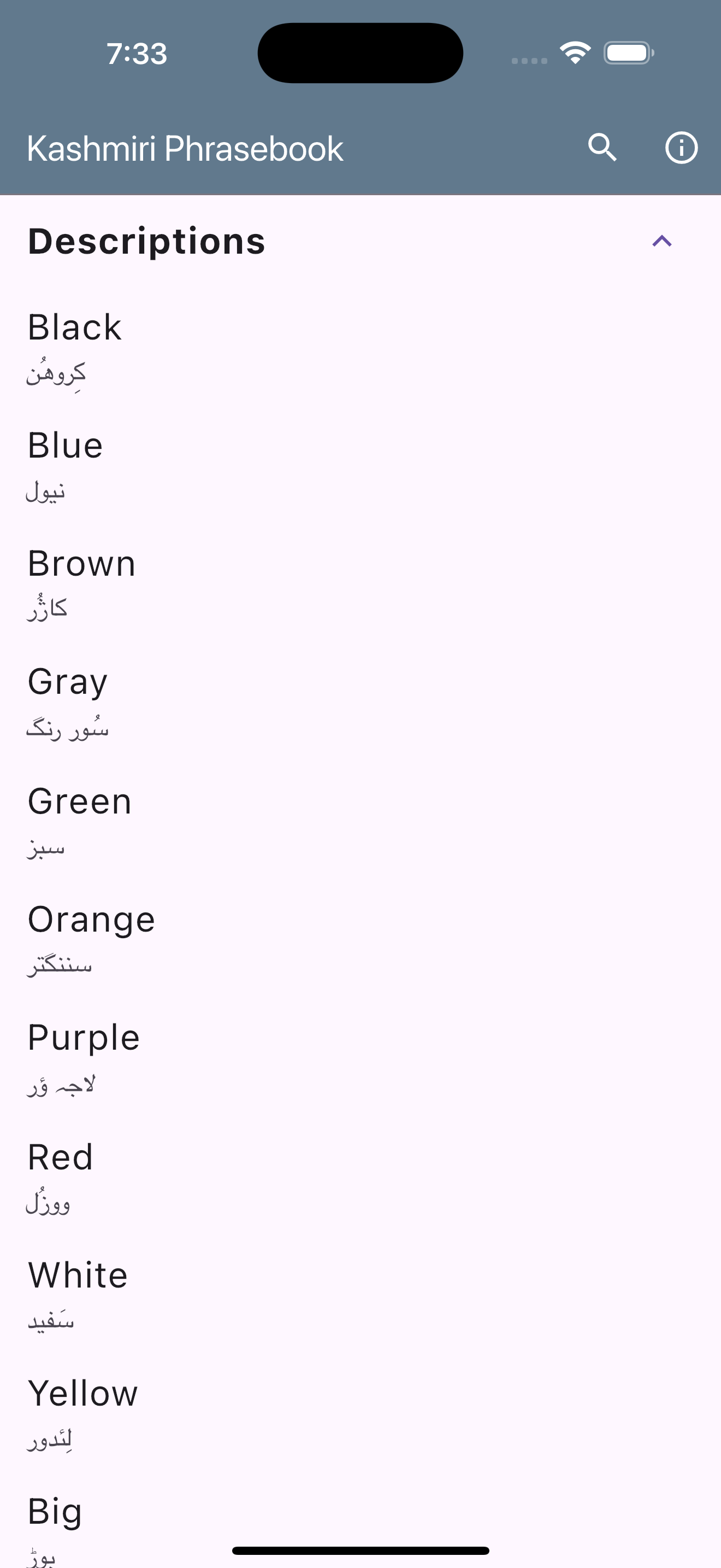 Kashmiri Phrasebook screenshot 9