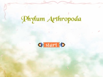 Phylum Arthropoda iPad screenshot