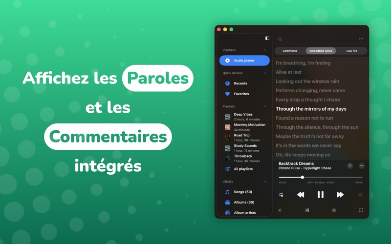 Screenshot #3 pour Evermusic