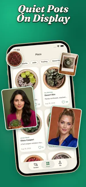 Sedumx screenshot 1