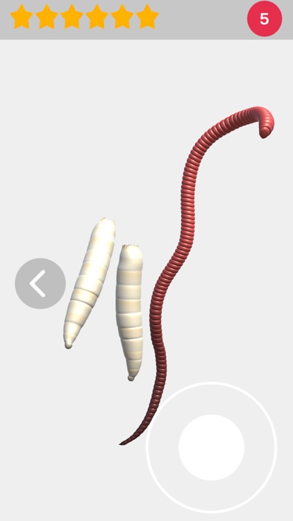 Bobber Fishing screenshot-5