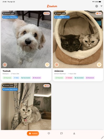 Pawium: Pet World iPad screenshot