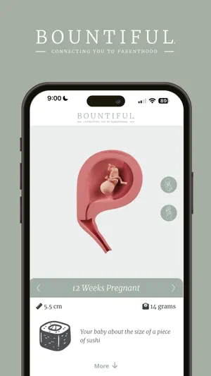 Bountiful Parenthood App screenshot 1