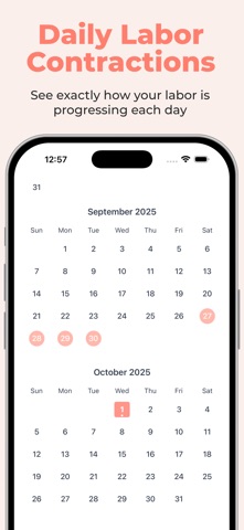 Contraction Timer: Labr Screenshot 3 of 4