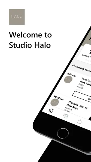Studio Halo screenshot 1