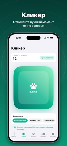 Скриншот Fluier