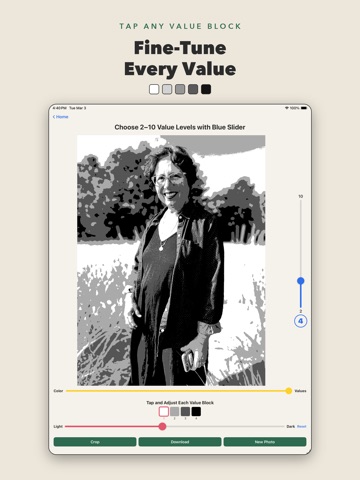 Value Study Assistant iPad screenshot