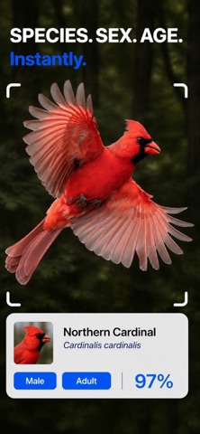 Identify Birds – Smart Bird ID app screenshot