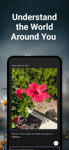 Maple Research: Private AI Screenshot 1 of 9