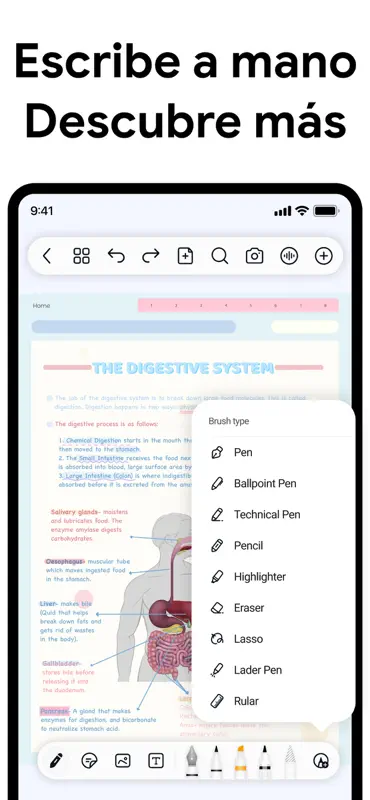 Freenotes®: Bloc de Notas, PDF screenshot 6 of 6