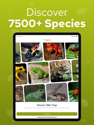 Frog Identifier – Frogium iPad screenshot