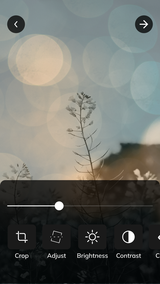 #2. Virality Media (iOS) Podle: Virality Media