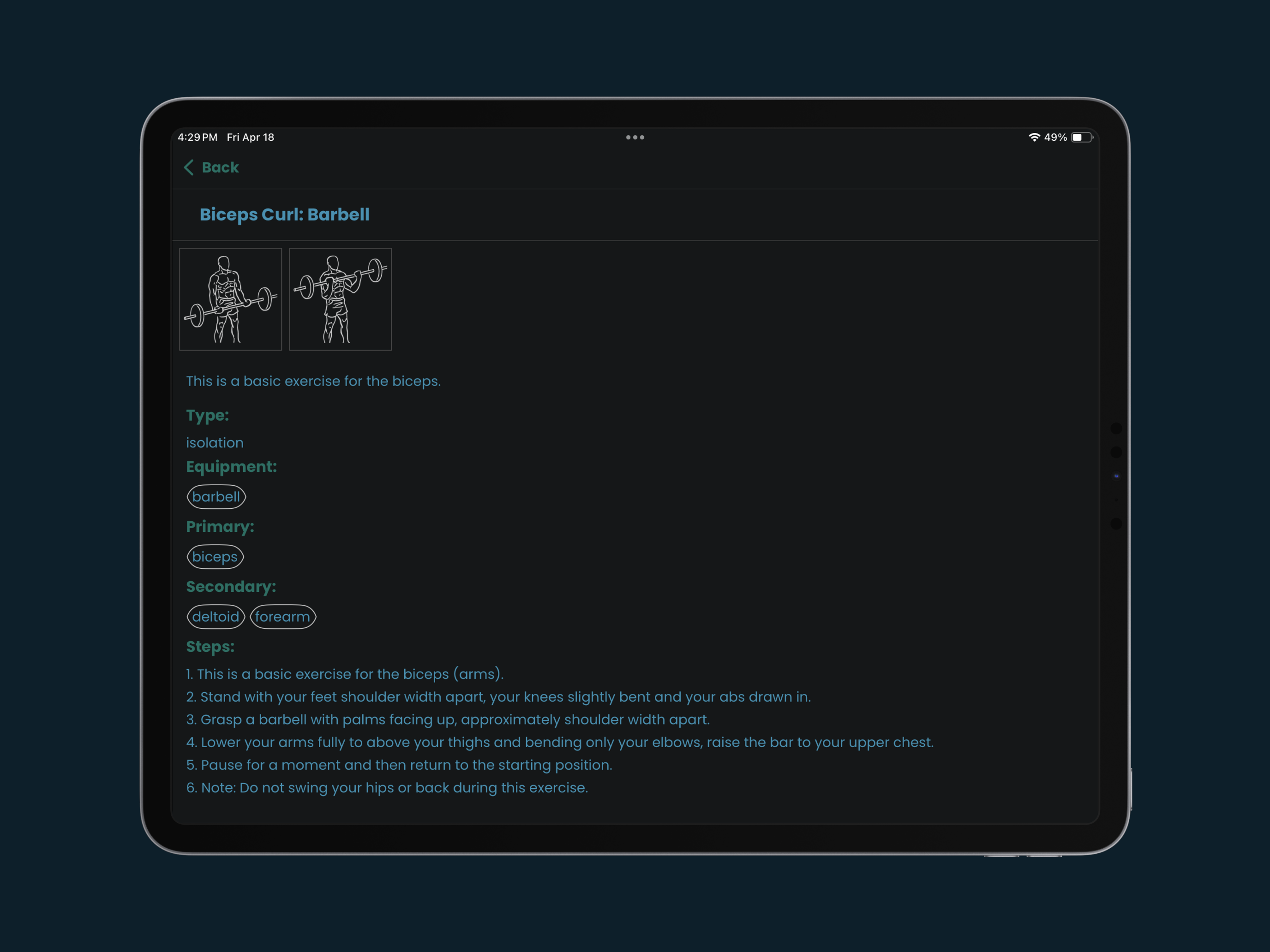 Allbody Workout Planner